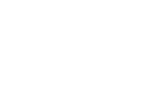 Socialism Research Center